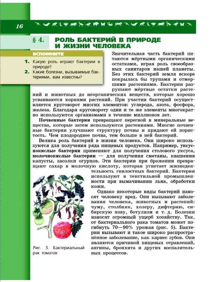 Учебник Биология 7 класс Пасечник Суматохин читать онлайн